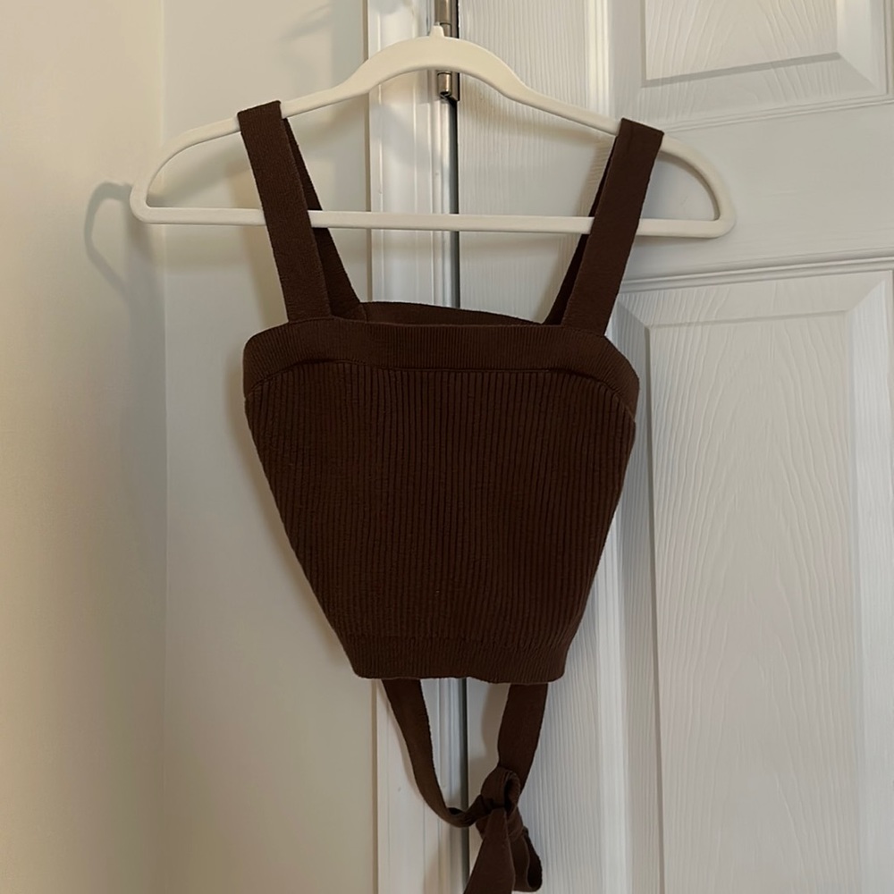 Hollister Brown Crop Top